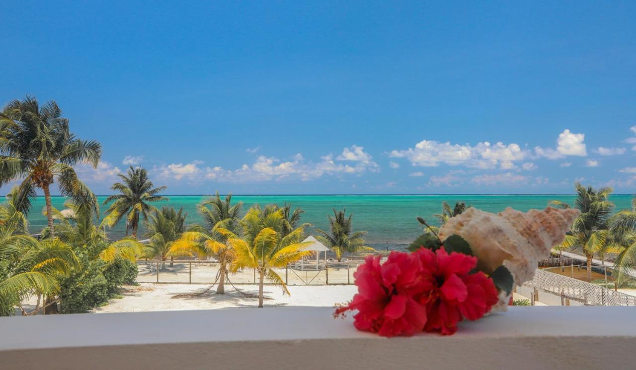 Treetops Hotel Caye Caulker Exterior photo